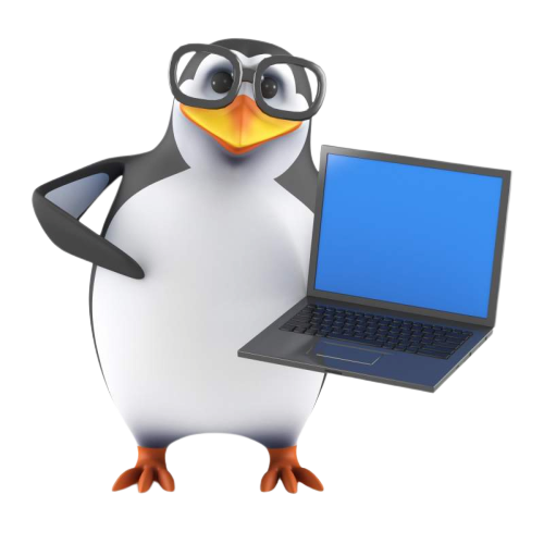 IT Support